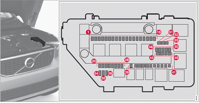 Volvo XC40. Pflege und Service