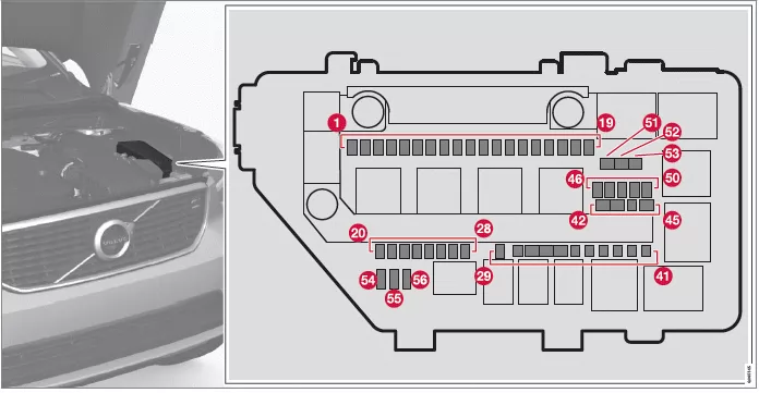 Volvo XC40. Pflege und Service
